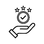Pleko Quality Icon