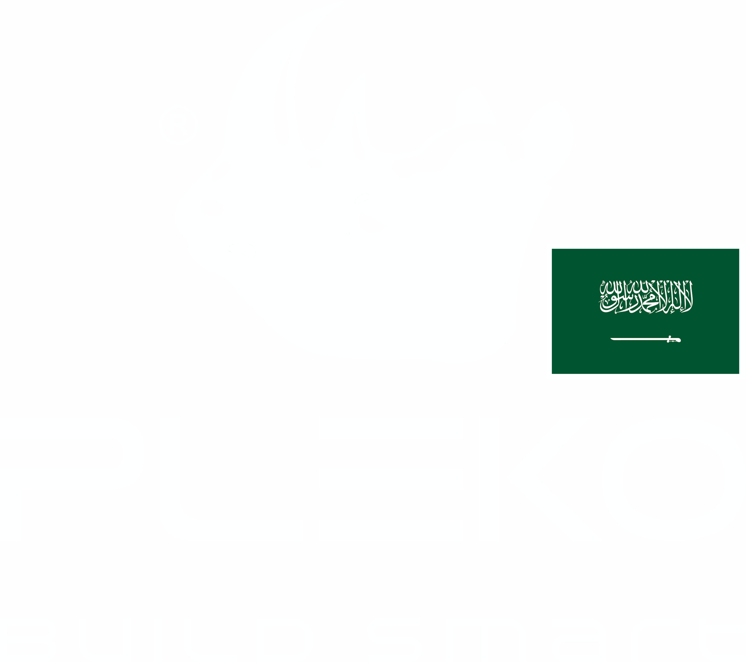 pleko logo snd 95 header